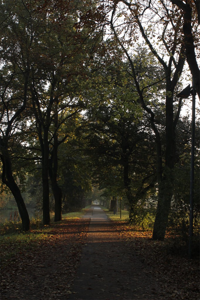 Herbst in Königs Wusterhausen 2012