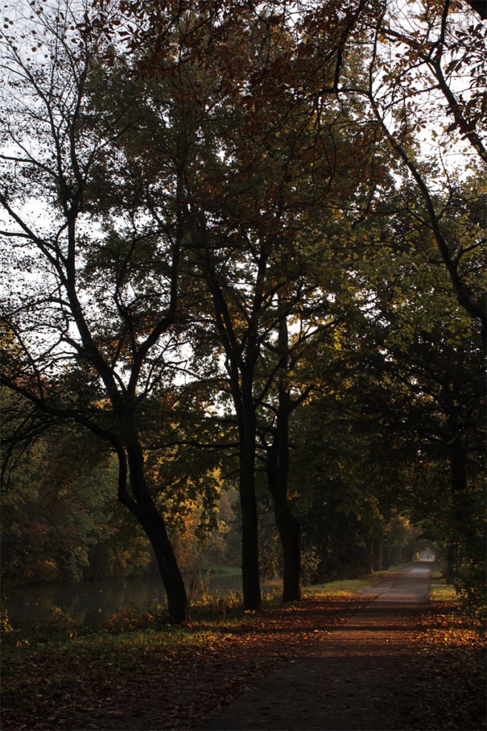 Herbst in Königs Wusterhausen 2012 II