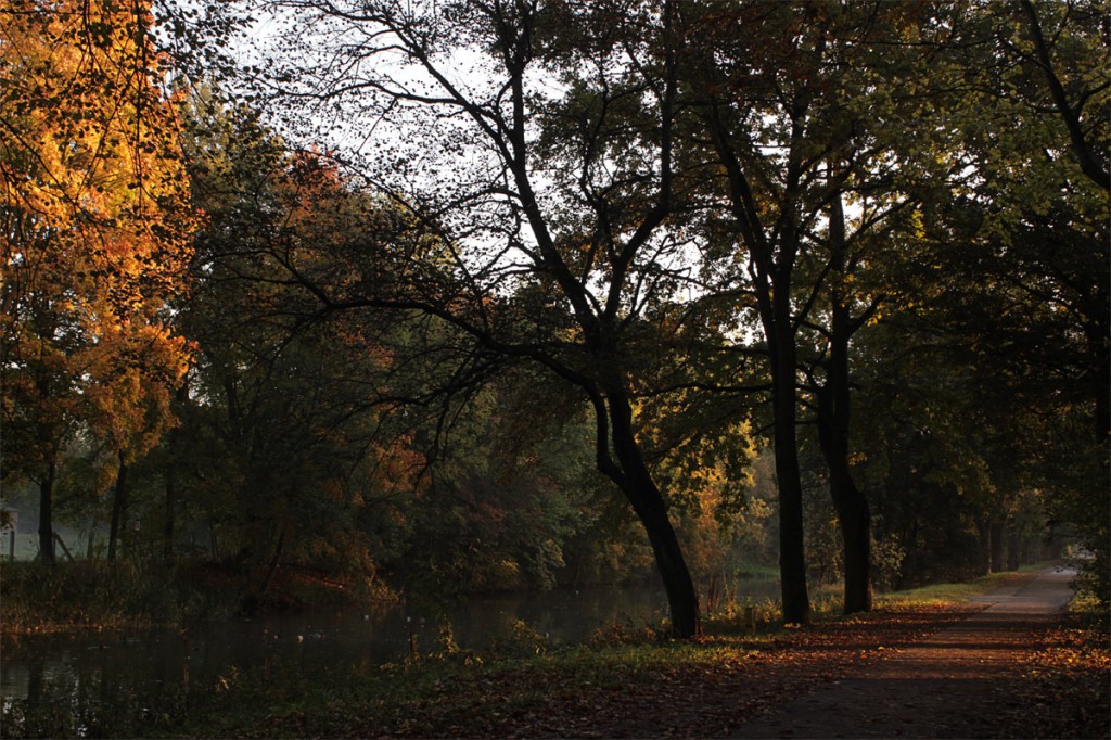 Herbst in Königs Wusterhausen 2012 IV